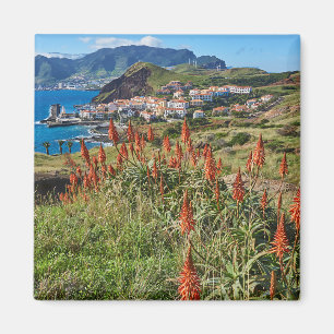Blommor   Madeira Island Portugal Magnet