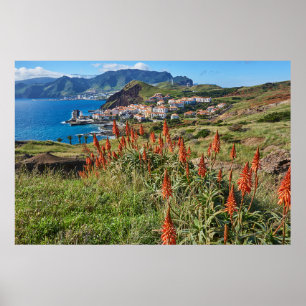Blommor   Madeira Island Portugal Poster