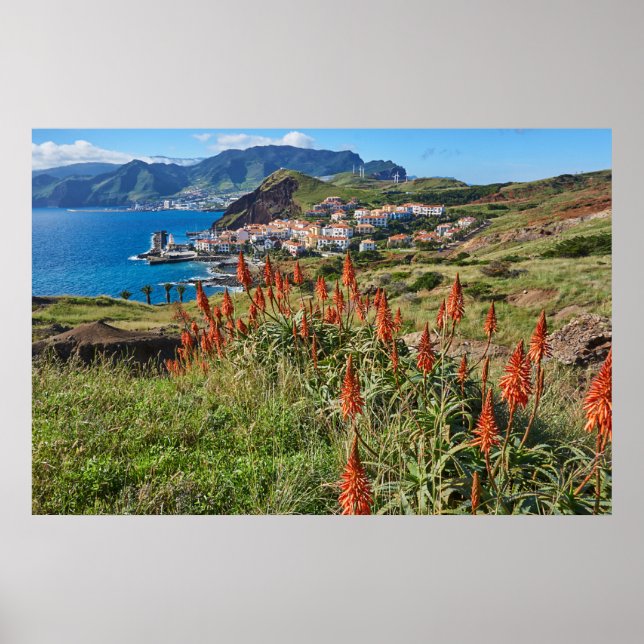 Blommor | Madeira Island Portugal Poster (Framsidan)