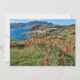 Blommor Madeira Island Portugal Tack Kort