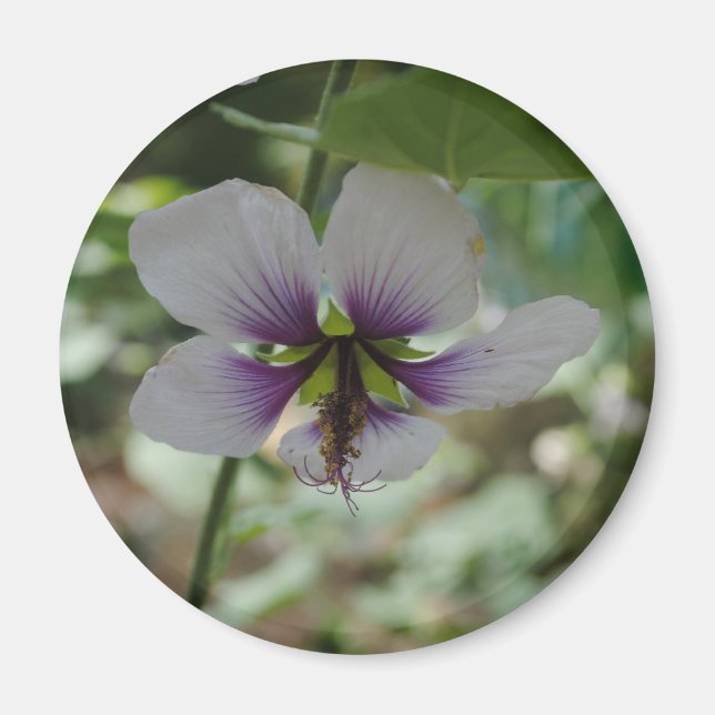 Blommor Magnet (Framsidan)