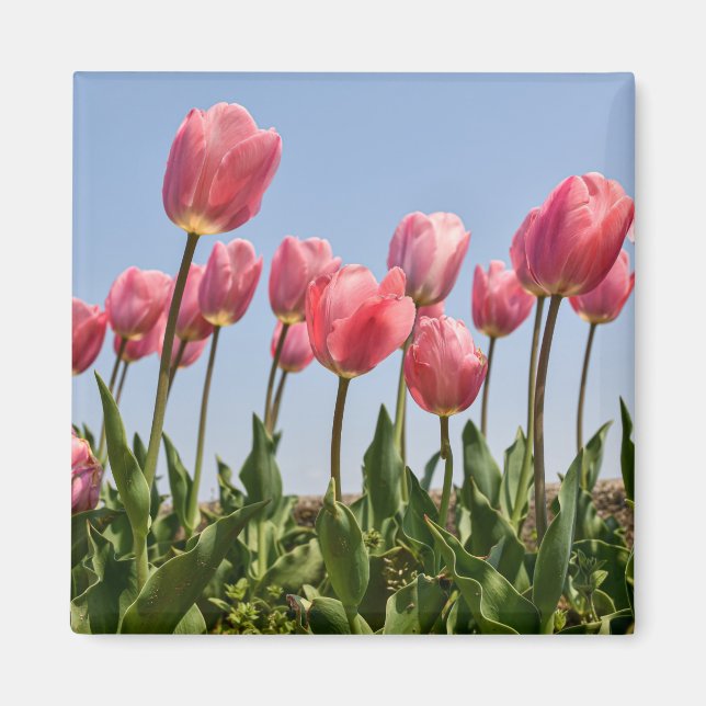 Blommor Magnet (Framsidan)