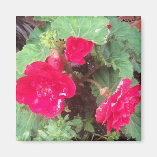 Blommor, magnet (Framsidan)