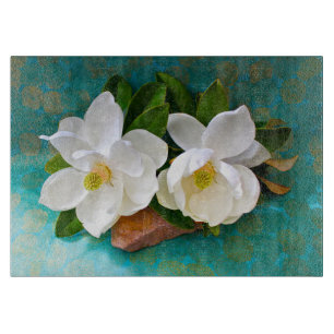 Blommor Magnolia Flower