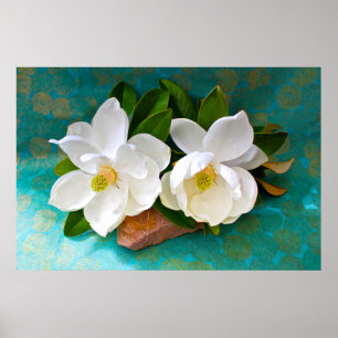 Blommor Magnolia Flower Poster