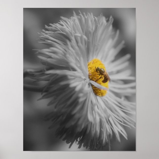 Blommor med bina i Färg Poster (Framsidan)