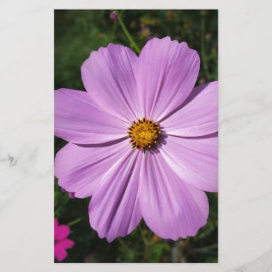 Blommor med stark rosa brevpapper