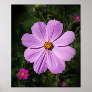 Blommor med stark rosa poster