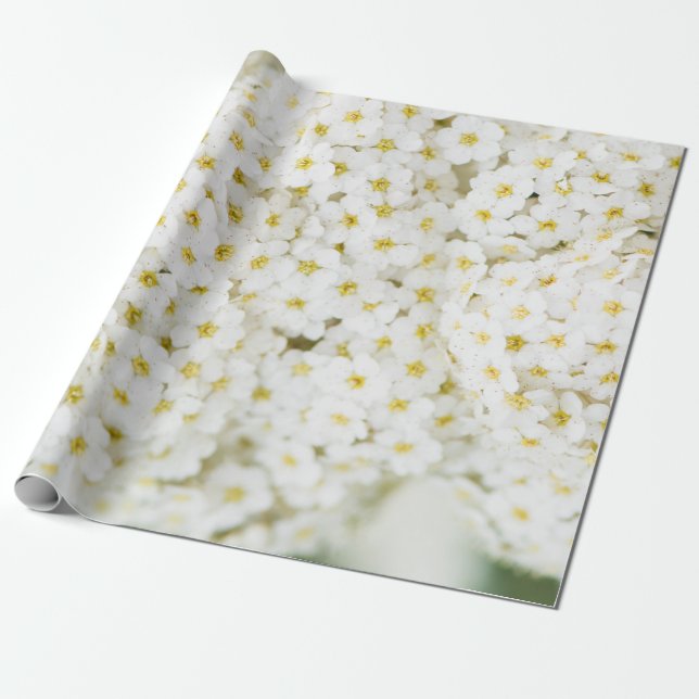 Blommor mönster presentpapper (Utrullad)