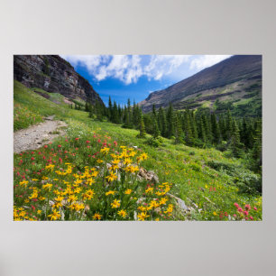 Blommor Montana Flower Väg Poster