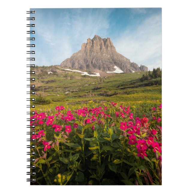 Blommor | Montanas glaciernationalpark Anteckningsbok (Framsidan)