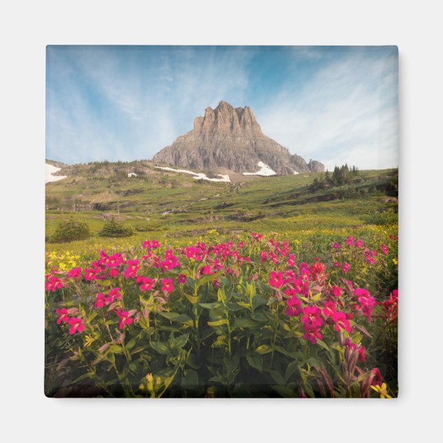 Blommor | Montanas glaciernationalpark Magnet (Framsidan)