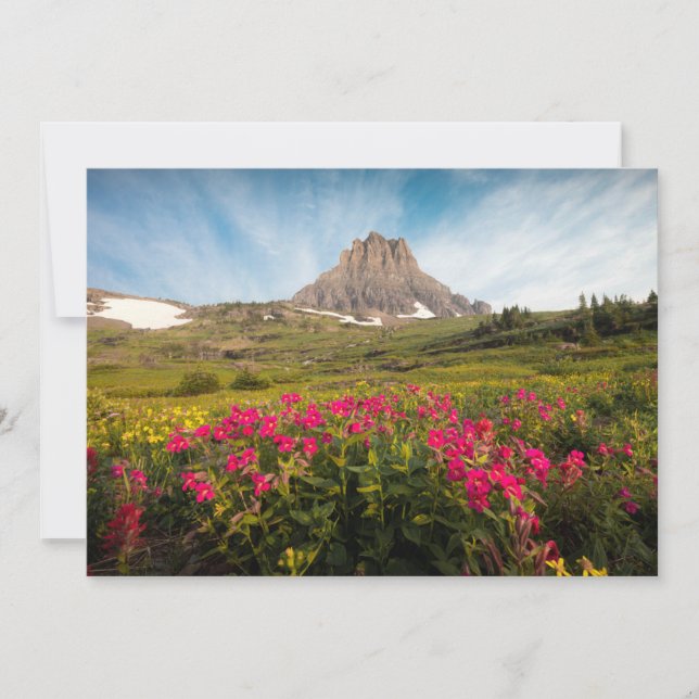 Blommor | Montanas glaciernationalpark Tack Kort (Framsida)