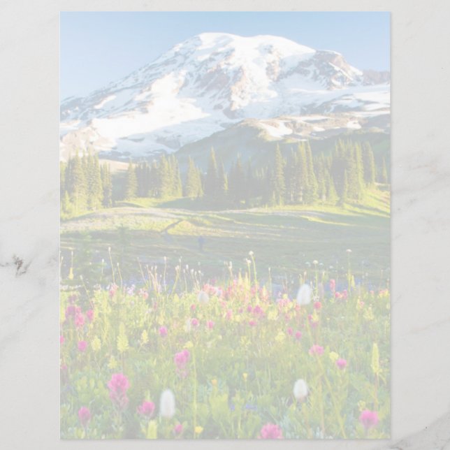 Blommor | Mt. Rainier Wildflowers (Framsida)
