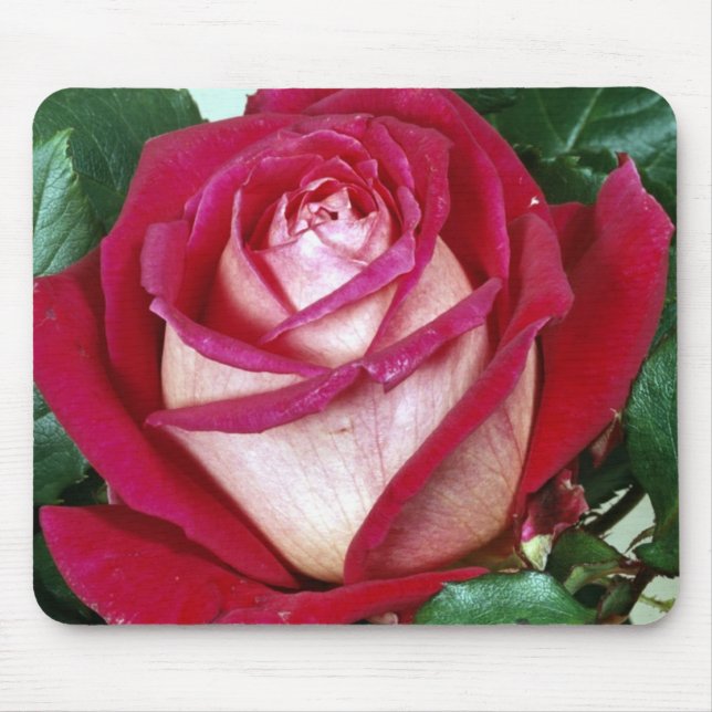 Blommor, musknapp musmatta (Framsidan)