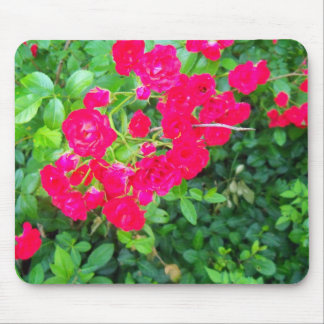 blommor musmatta