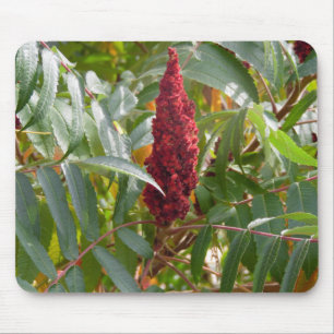Blommor Musmatta