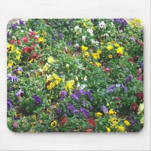 Blommor Musmatta