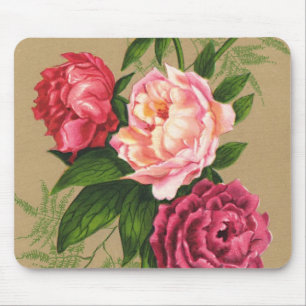 Blommor Musmatta