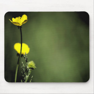 Blommor Musmatta
