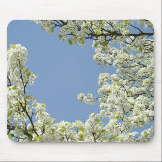 BLOMMOR MUSMATTOR Träd Blommande Musmatta Blå Himm