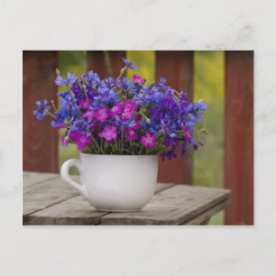 Blommor, nejlika och vild vykort