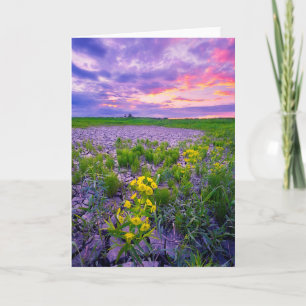 Blommor North Dakota Red River Valley Kort