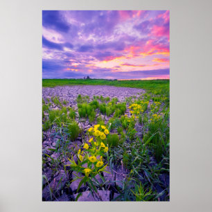 Blommor North Dakota Red River Valley Poster