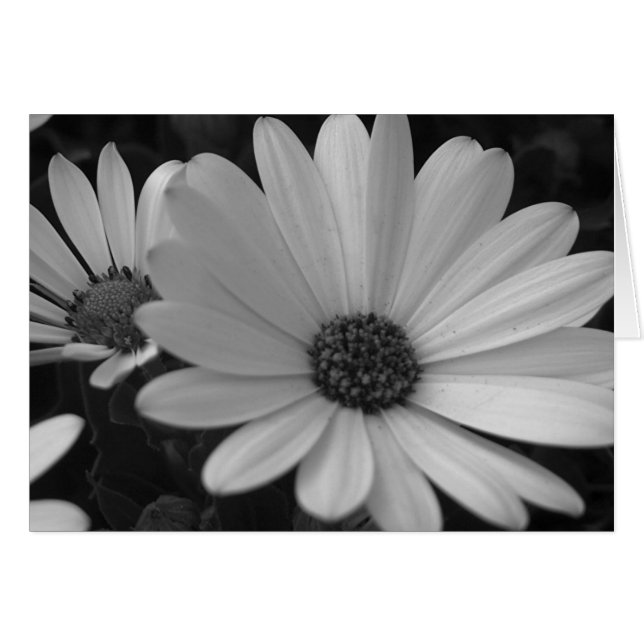 Blommor nr 1 hälsningskort (Framsidan Horizontal)