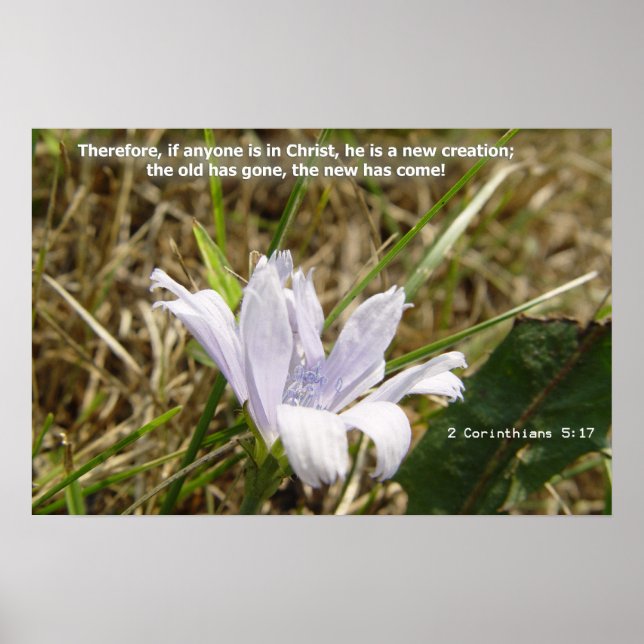 Blommor - ny skapelse poster (Framsidan)