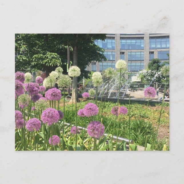 Blommor NYC Columbus Circle Fontän vykort (Framsida)