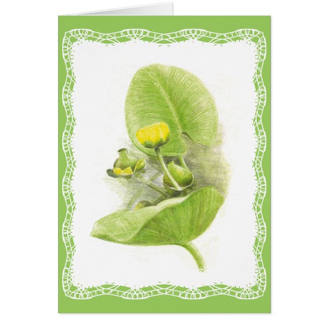 Blommor OBS Kort (Framsidan)