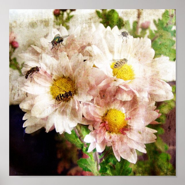 Blommor och bin poster (Framsidan)