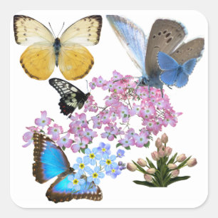Blommor och fjäll: en ny biggenering fyrkantigt klistermärke