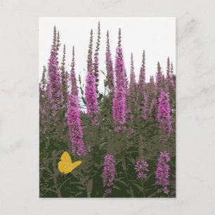 Blommor och fjäril vykort