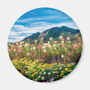Blommor och Flatirons Magnet