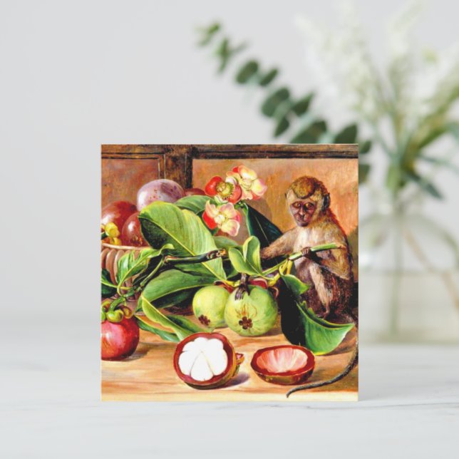 Blommor och frukt av Mangosteen; Singaporeapa (Stående Fram)