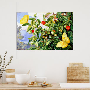 Blommor och frukt i Pitanga, Jamaica Poster