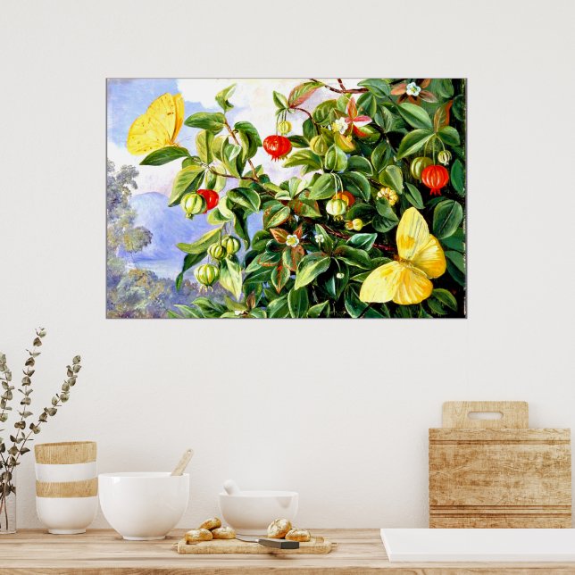 Blommor och frukt i Pitanga, Jamaica Poster (Kök)