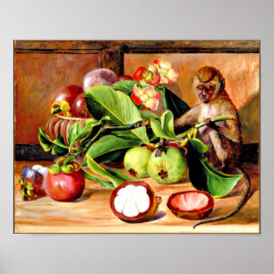 Blommor och frukter av Mangosteen Poster