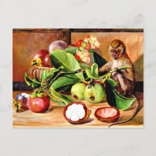 Blommor och frukter av Mangosteen, Singapore Monke Vykort