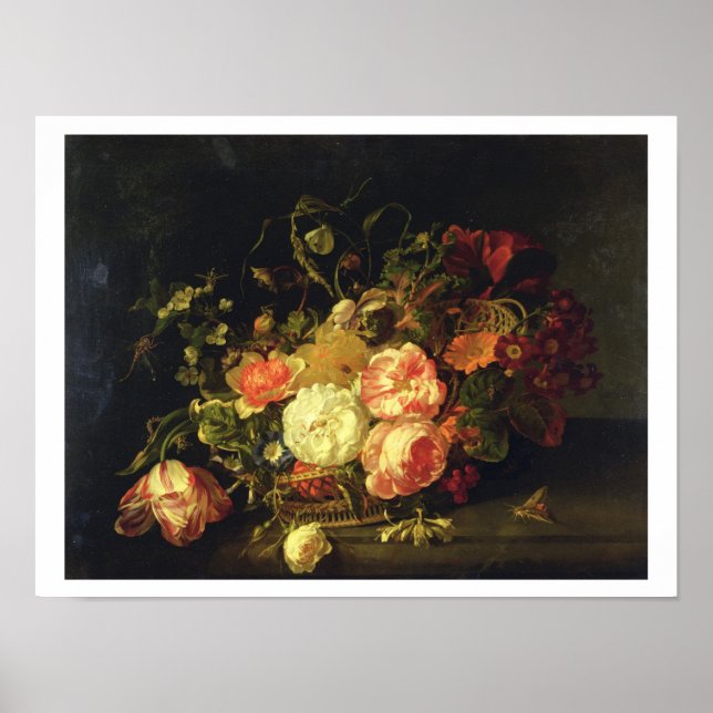 Blommor och Insekter, 1711 (olja på skiva) Poster (Framsidan)