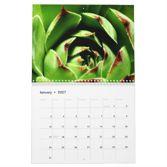 Blommor och insekter kalender (Jan 2027)