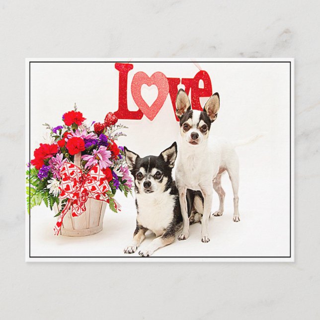 Blommor och Kärlek Vykort (Framsida)