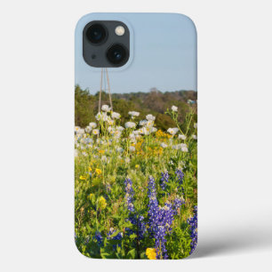 Blommor och Kvarn i Texas Backe Land