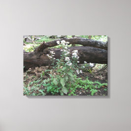 Blommor och kvastad utskrift på arbetsytan canvastryck