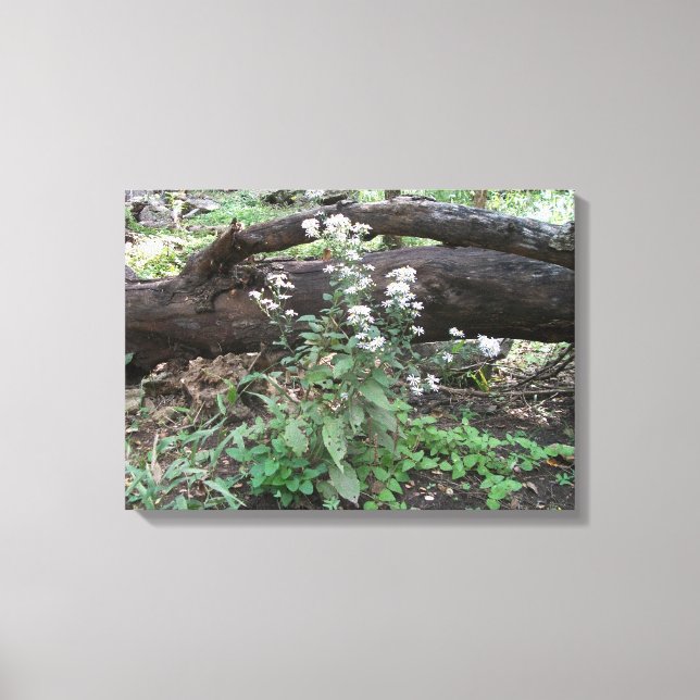 Blommor och kvastad utskrift på arbetsytan canvastryck (Framsida)