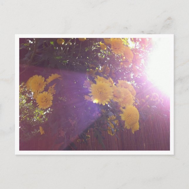 Blommor och ljus vykort (Framsida)