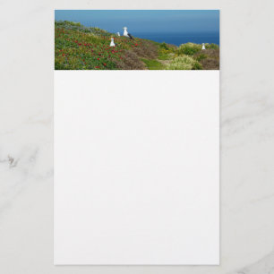 Blommor och måsar på Anacapa Island Brevpapper