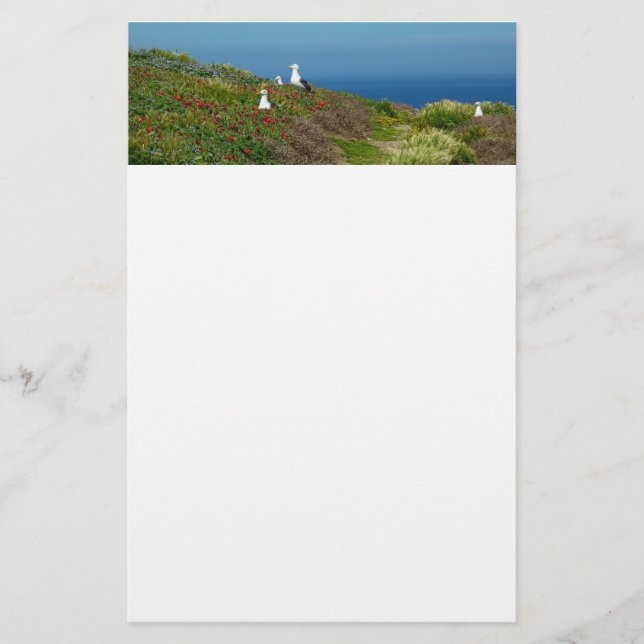 Blommor och måsar på Anacapa Island Brevpapper (Framsida)